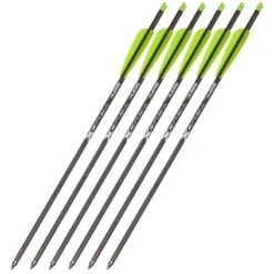 Bear Archery TrueX Crossbow Bolts (6 Pack) 11 Bear Archery TrueX Crossbow Bolts (6 Pack) -Shooting Series 1037227 800 auto