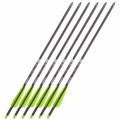 Bear Archery TrueX Crossbow Bolts (6 Pack) 13 Bear Archery TrueX Crossbow Bolts (6 Pack) -Shooting Series 1037228 800 auto