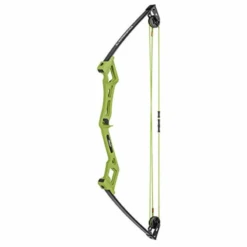 Bear Archery Apprentice Bow Set -Shooting Series 1142962 800 auto