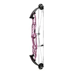 Hoyt Stratos 40 HBT Compound Bows 2024 -Shooting Series 40hbtstardust 1