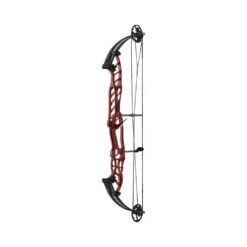 Hoyt Stratos 40 SVX Compound Bows -Shooting Series 40svxred 2