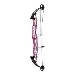 Hoyt Stratos 40 SVX Compound Bows 2024 -Shooting Series 40svxstardust 1