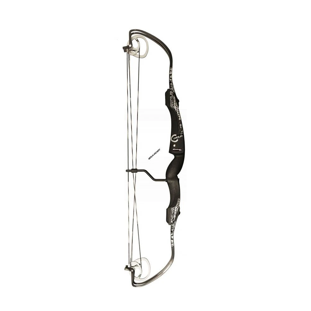 Rolan Cambium Compound Bow 1 Rolan Cambium Compound Bow