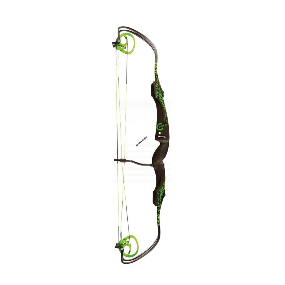 Rolan Cambium Compound Bow 4 Rolan Cambium Compound Bow - Image 4